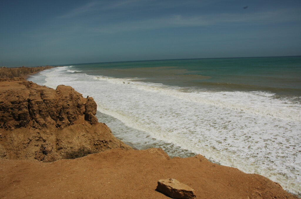 Surf breaks below low sandstone cliffs at Hawke's Bay